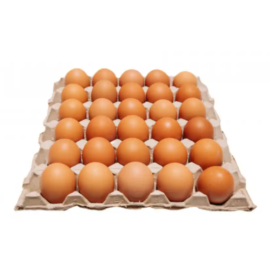 Fresh Brown Eggs